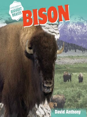 cover image of Bison